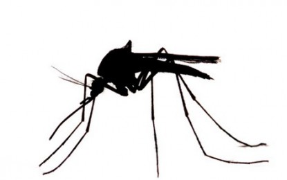 Comment se protéger des moustiques ?